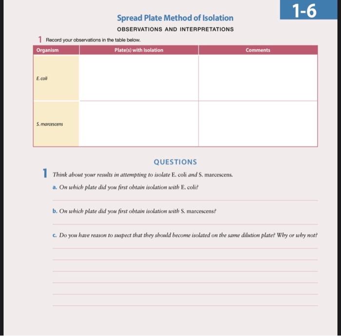 Spread Plate Method of Isolation
OBSERVATIONS AND INTERPRETATIONS
1 Record your observations in the table below.
QUESTIONS
Th