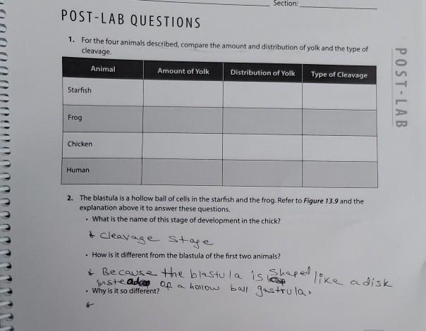 Solved Section: POST-LAB QUESTIONS 1. For the four animals | Chegg.com