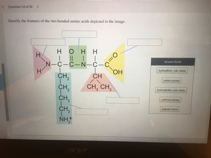 Solved Identify the features of the | Chegg.com