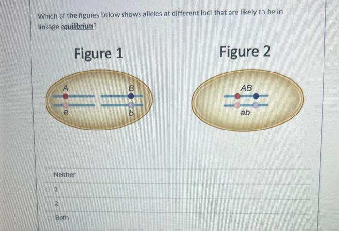 Solved Which of the figures below shows alleles at different | Chegg.com