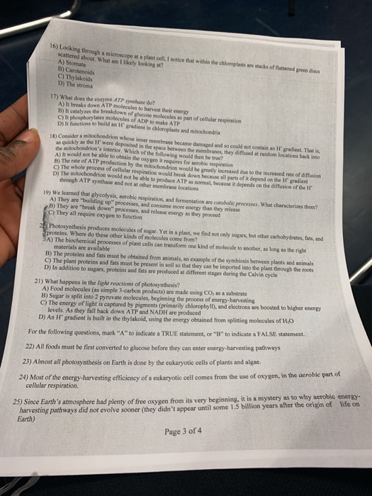 Solved 10) Looking through a microscope a plant cell, I | Chegg.com