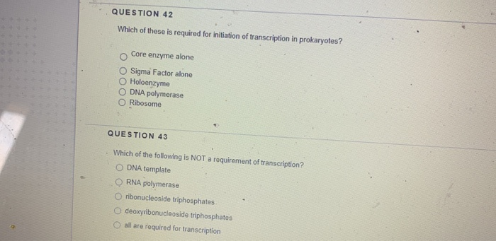 Solved QUESTION 42 Which of these is required for initiation | Chegg.com