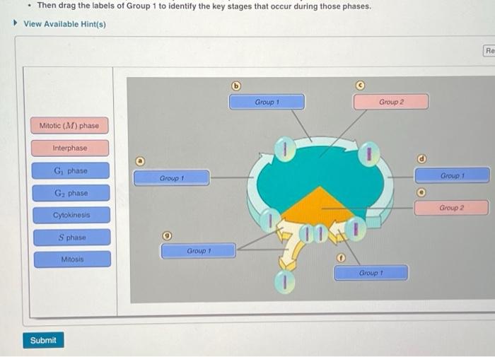 Solved . Then drag the labels of Group 1 to identify the key | Chegg.com