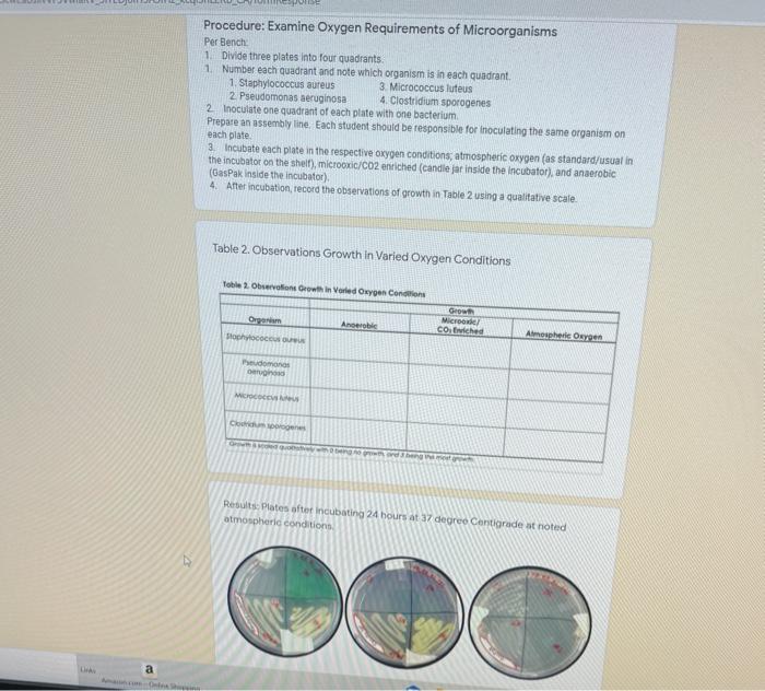 Solved Procedure: Examine Oxygen Requirements of | Chegg.com