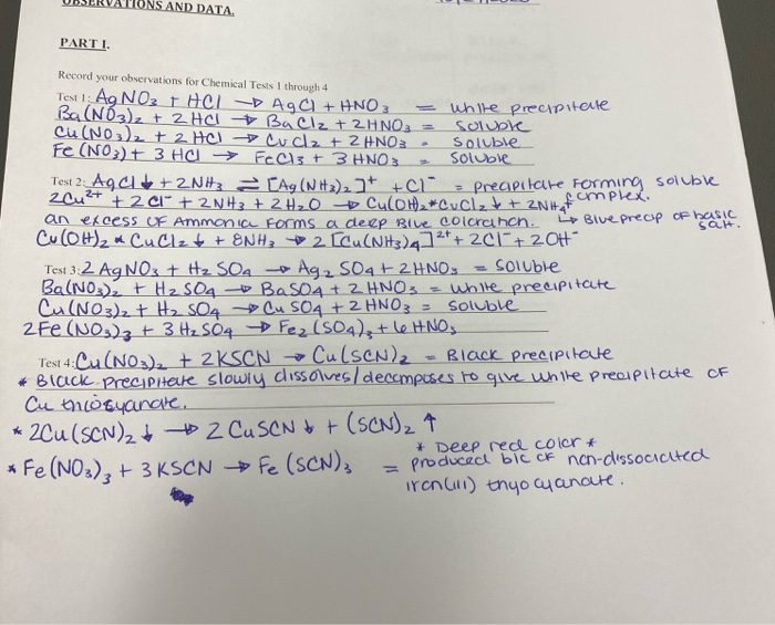 Qualitative Analysis of Cations! Can anyone please | Chegg.com