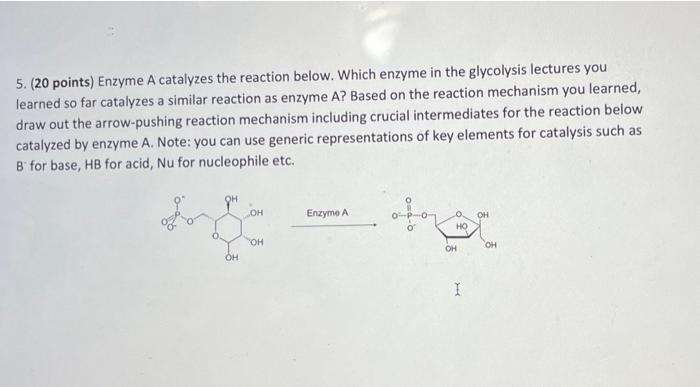 Solved 5. (20 points) Enzyme A catalyzes the reaction below. | Chegg.com