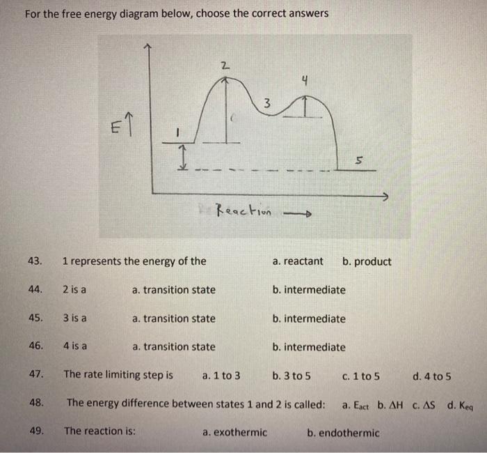 Solved For The Free Energy Diagram Below, Choose The Correct | Chegg.com