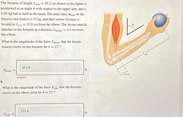Solved The forearm of length Larm=35.2 cm shown in the | Chegg.com