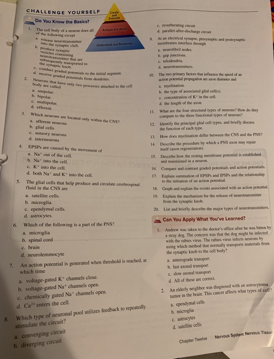 Solved: CHALLENGE YOURSELF Do You Know The Basics? 1. The | Chegg.com