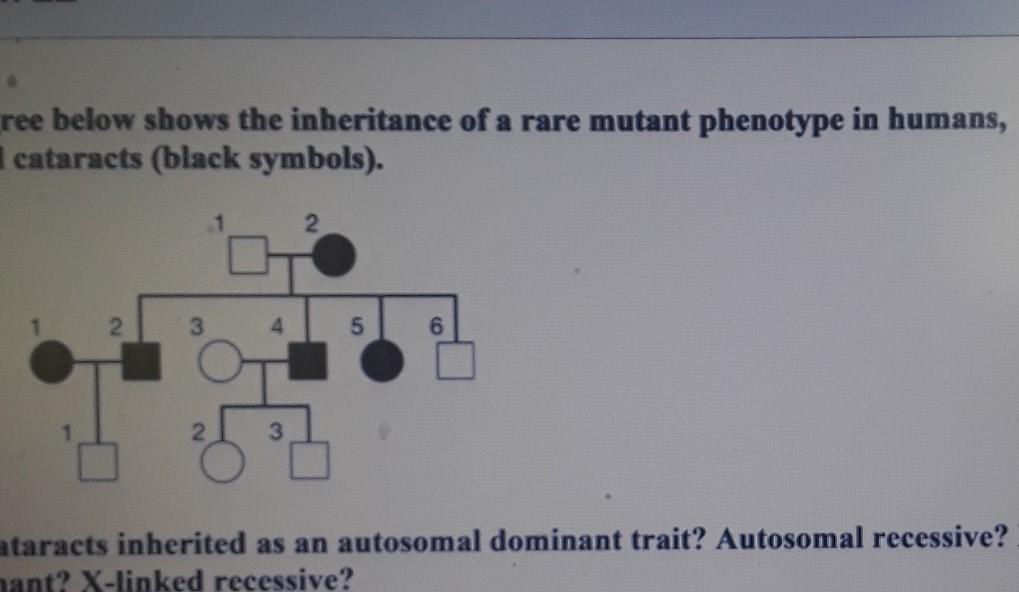 Solved The pedigree below shows the inheritance of a rare | Chegg.com