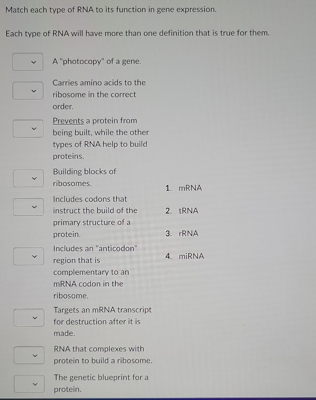 Solved Match Each Type Of Rna To Its Function In Gene Chegg Solved Match Each Type Of Rna To Its Function In Gene Chegg