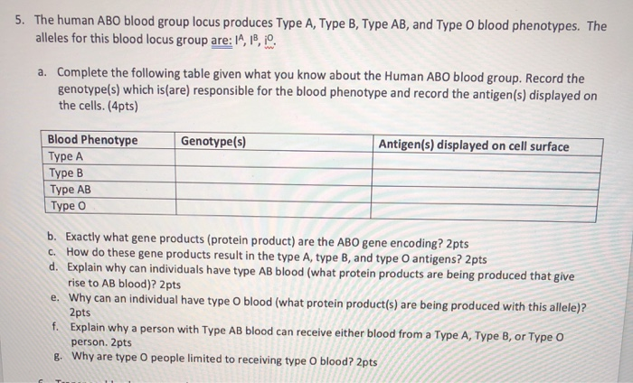 Solved 5. The Human ABO Blood Group Locus Produces Type A | Chegg.com