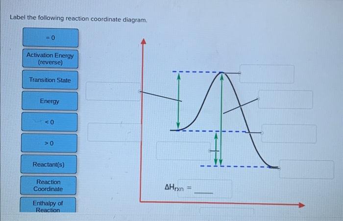 Solved Label The Following Reaction Coordinate Diagram Chegg Com