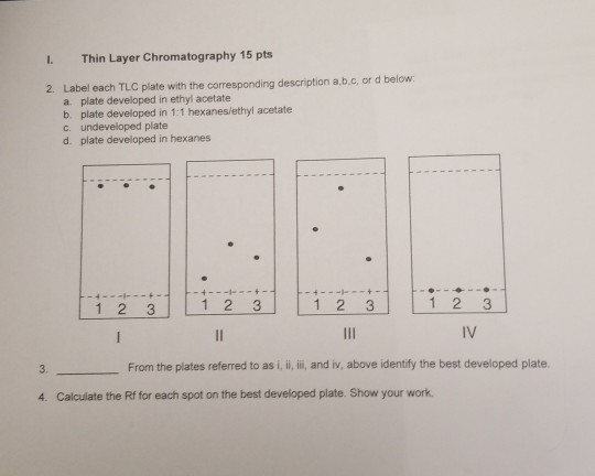 Solved I Thin Layer Chromatography 15 Pts 2 Label Each Chegg Com