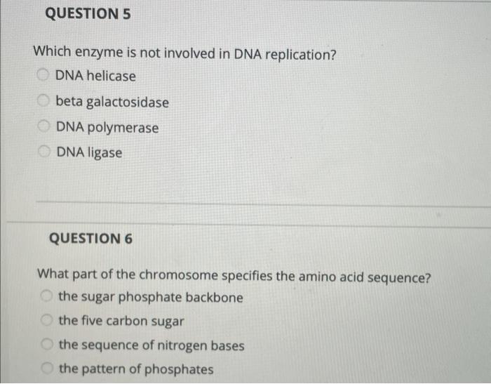 which of the following is not an enzyme involved in dna replication