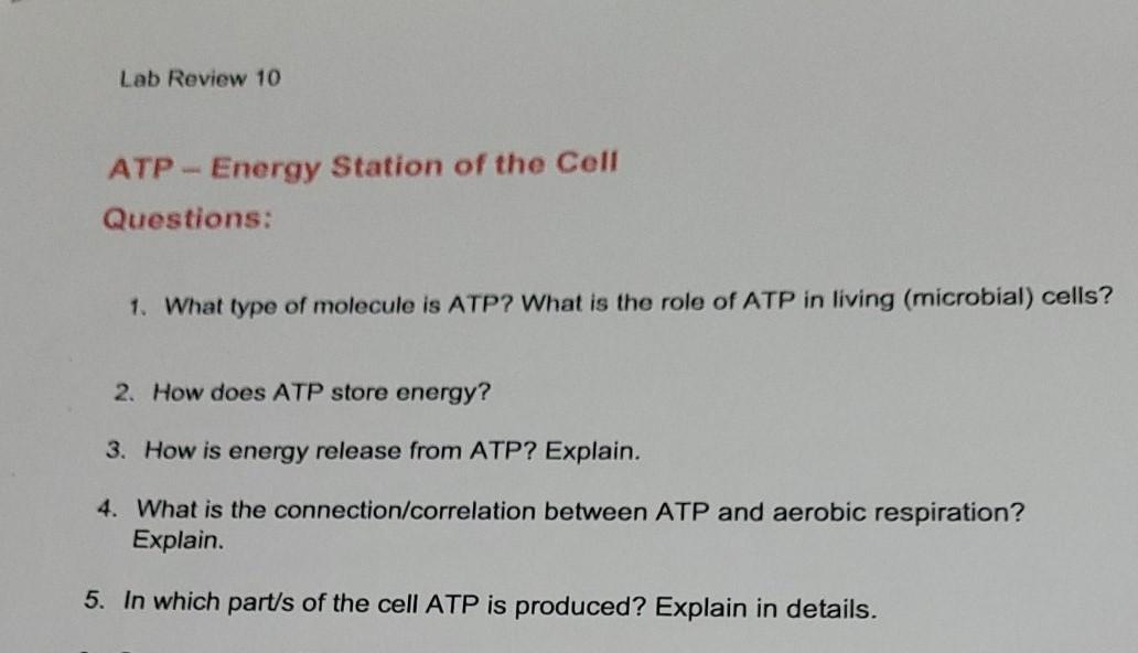 Solved Lab Review 10 ATP - Energy Station Of The Cell | Chegg.com