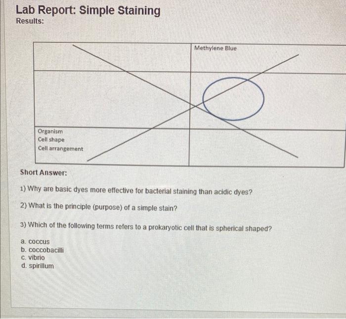 Solved Laboratory Exercise: Simple Staining Materials Heat | Chegg.com