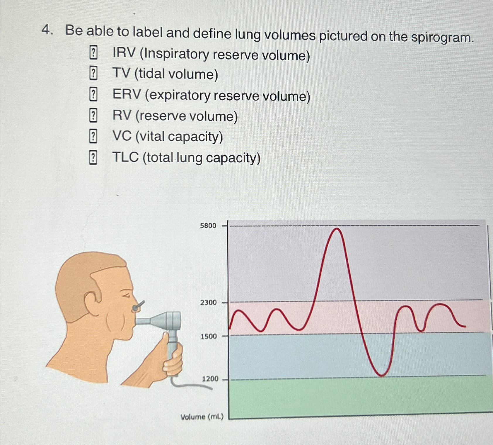 Solved Be able to label and define lung volumes pictured on | Chegg.com