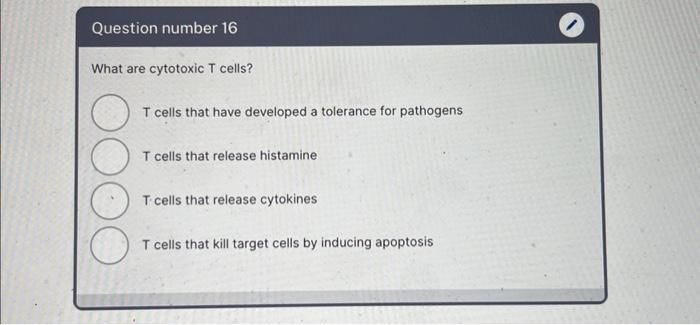 cytotoxic t cells release a substance called