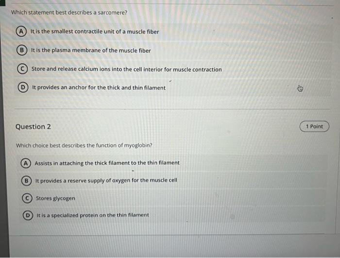 solved-which-statement-best-describes-a-sarcomere-it-is-the-chegg