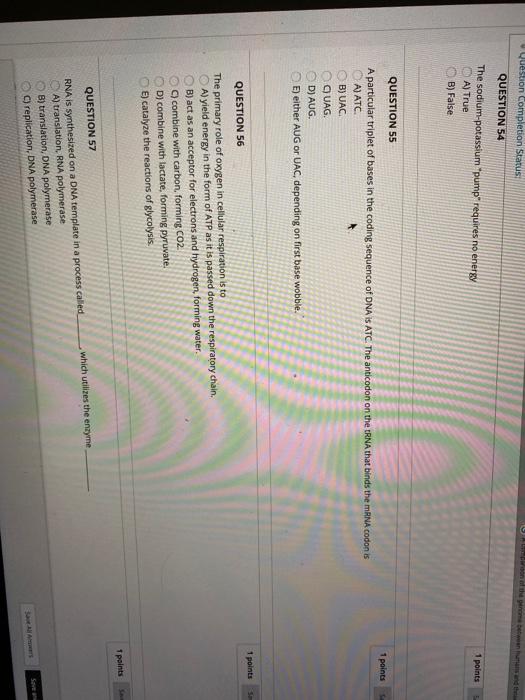 Solved QUESTION 46 In the process of RNA splicing the | Chegg.com