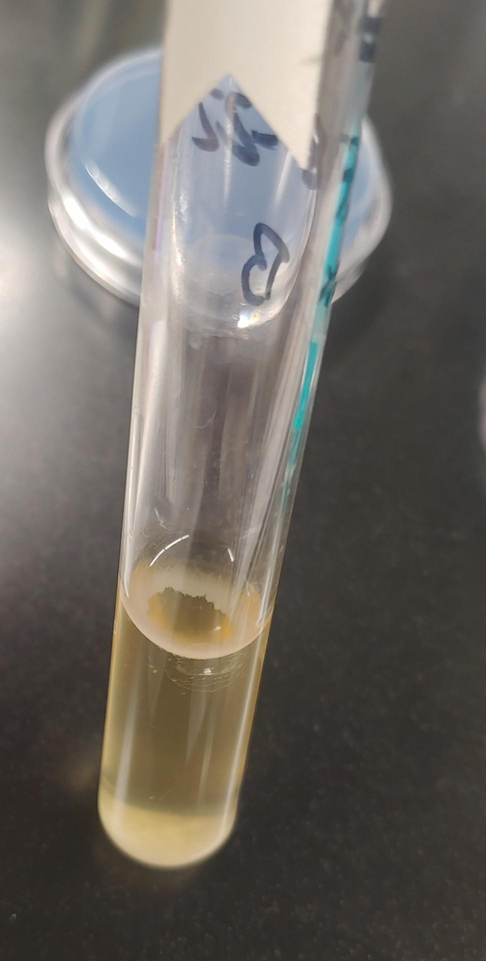 Solved this is my sample in the broth. how would i fill this | Chegg.com