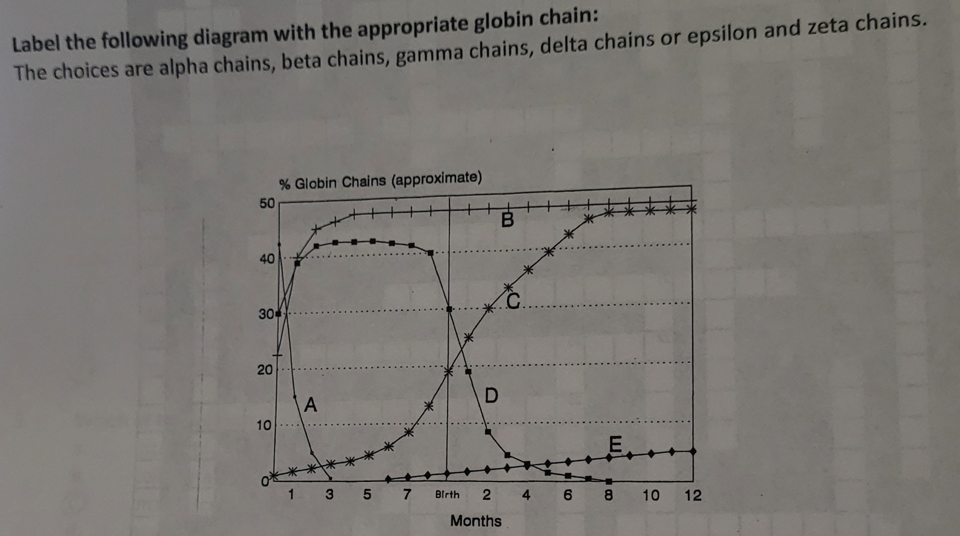 Solved Label the following diagram with the appropriate | Chegg.com