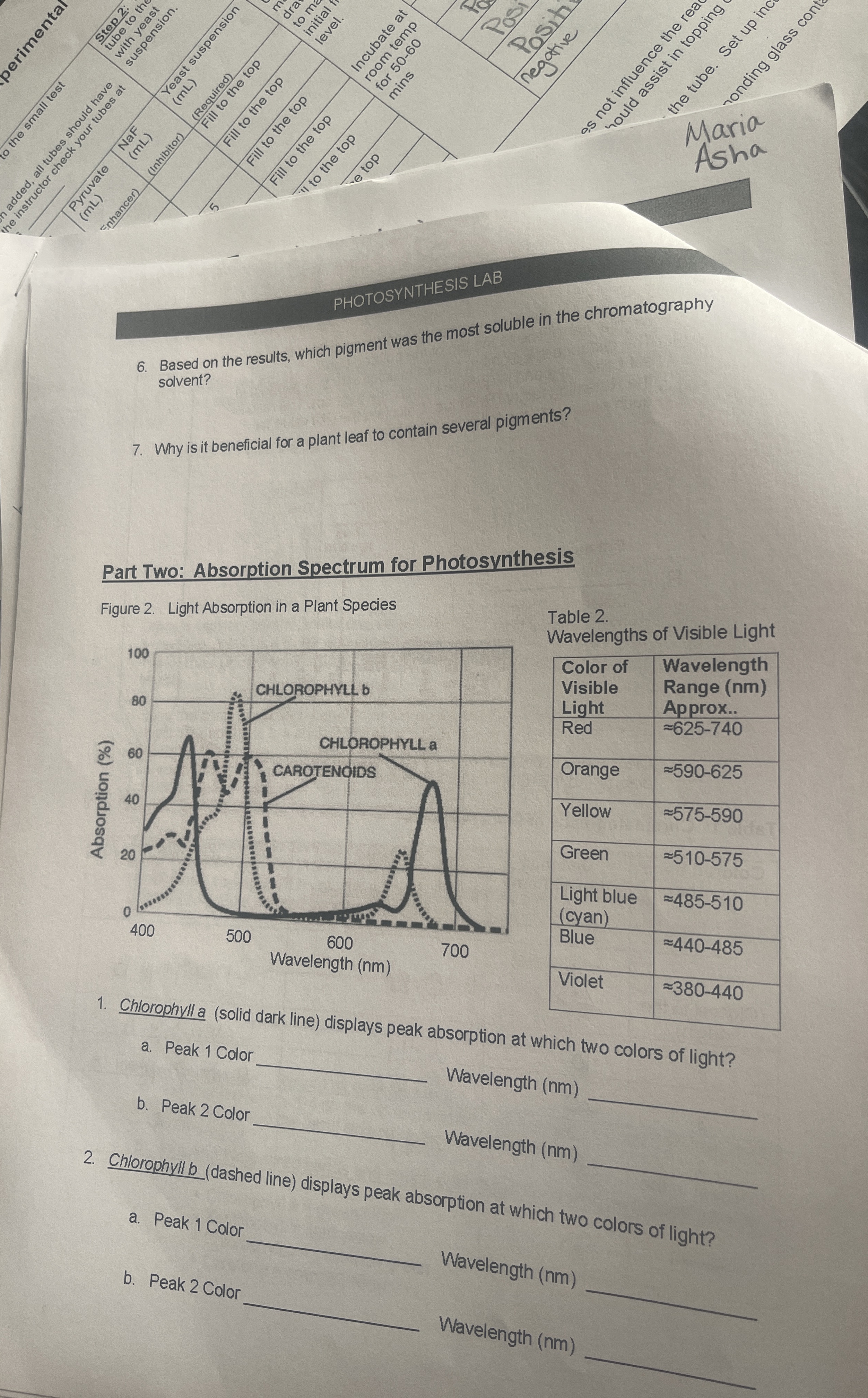 Based on the results, which pigment was the most