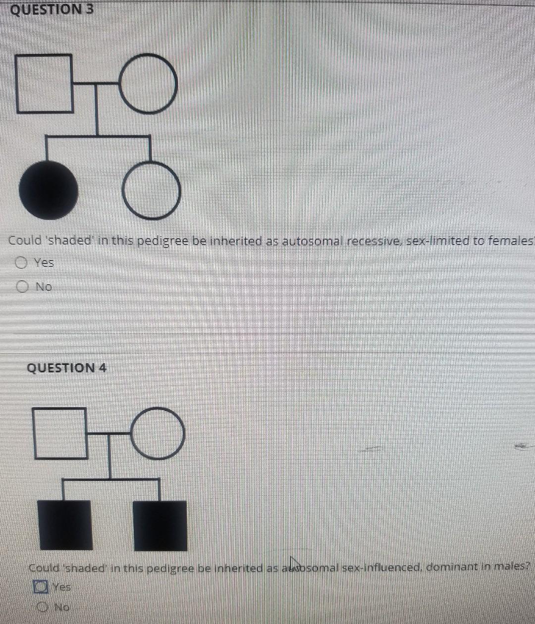 Solved QUESTION 3 Could 'shaded' in this pedigree be | Chegg.com