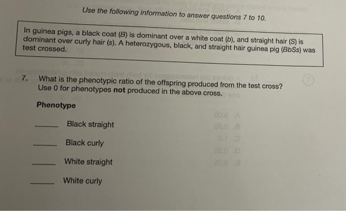 Solved In guinea pigs, black coat (B) is dominant over white