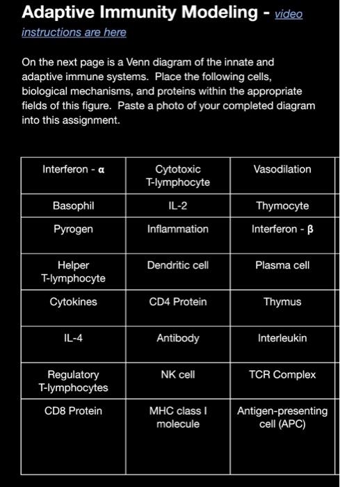 Solved Adaptive Immunity Modeling Place the following | Chegg.com