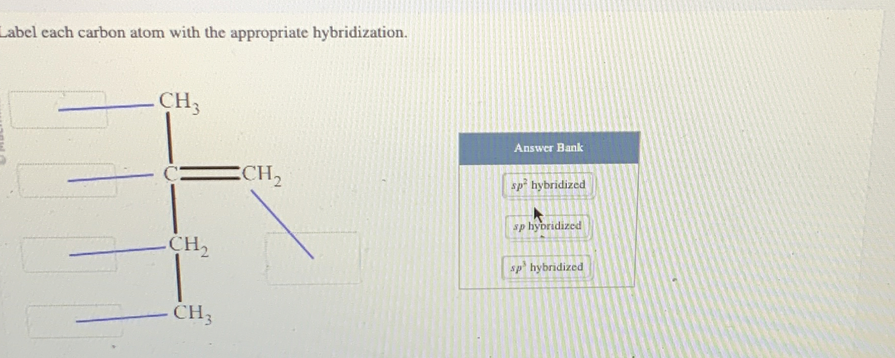 Label each carbon atom with the appropriate