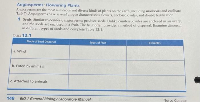 Solved Seed Cone B Examine And Draw Cones From The Conifer 