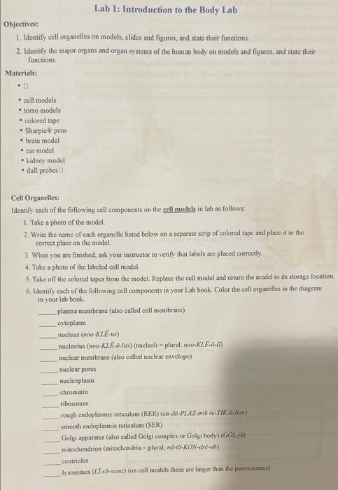Lab 1: Introduction to the Body Lab Objectives: 1. | Chegg.com