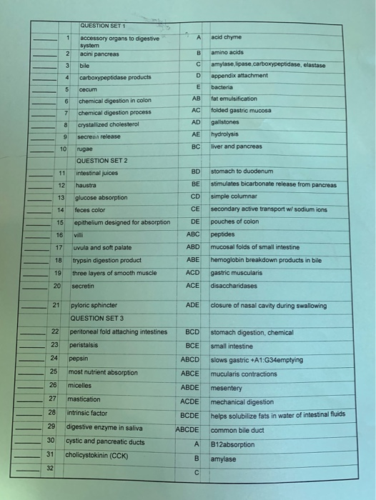 Solved QUESTION SET 1 acid chyme A 1 accessory organs to | Chegg.com