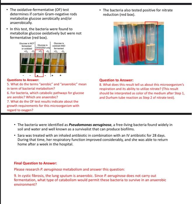 Solved - The Oxidative-fermentative (OF) Test - The Bacteria | Chegg.com