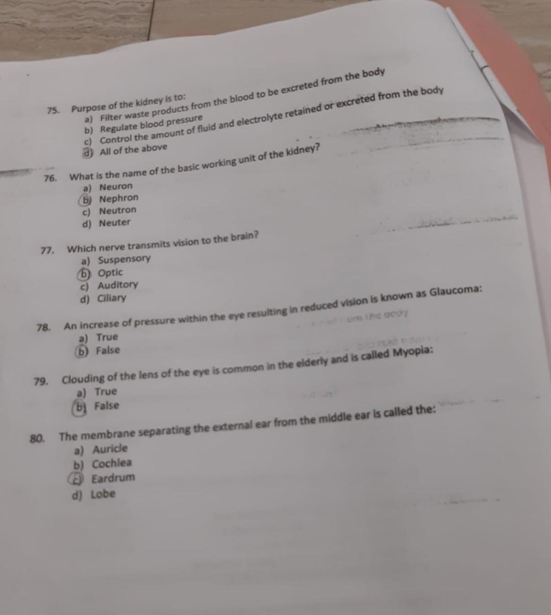 Solved: | Chegg.com