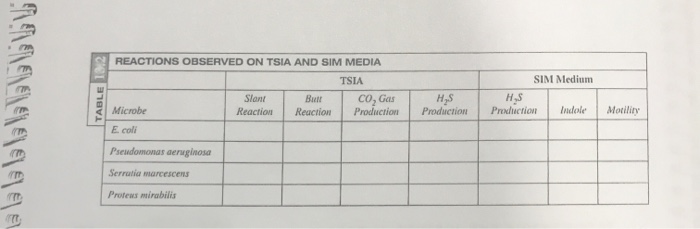 REACTIONS OBSERVED ON TSIA AND SIM MEDIA TSIA | Chegg.com