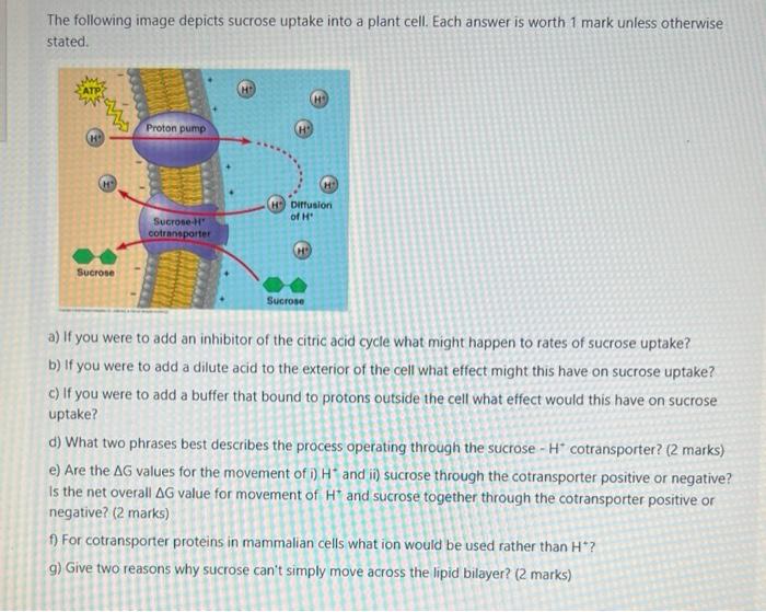 Solved The following questions relate to energy and matter.