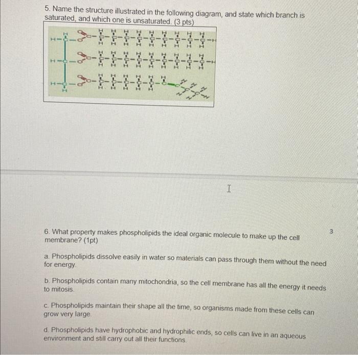 Solved 5. Name the structure illustrated in the following | Chegg.com