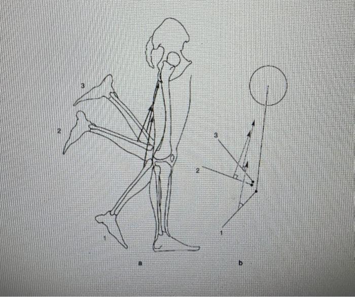 Solved (Please refer to the picture) 1. Which position | Chegg.com