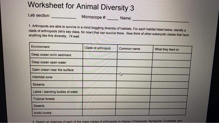 Solved Worksheet for Animal Diversity 3 Lab section: | Chegg.com