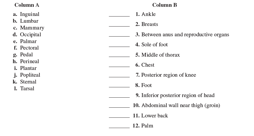 Solved Match The Body Regions In Column A With The Locations I Chegg Com
