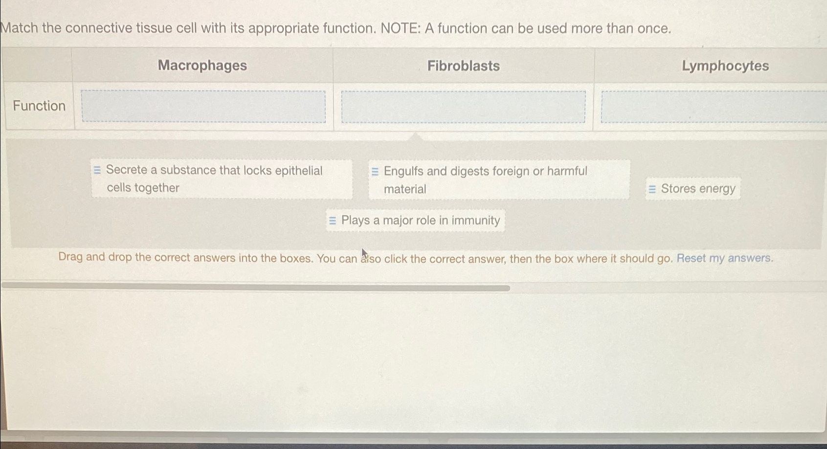 Solved Match the connective tissue cell with its appropriate