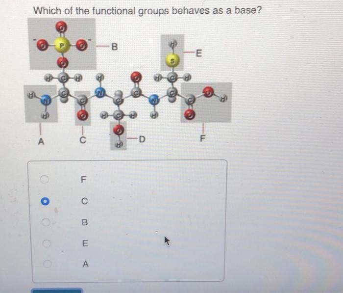Solved Which Of The Functional Groups Behaves As A Base F A Chegg