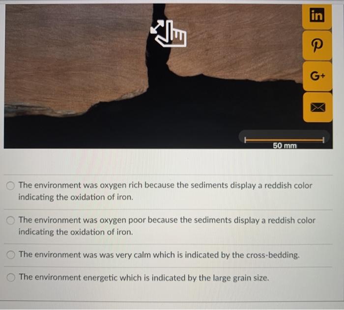 lin G+ x 50 mm The environment was oxygen rich because the sediments display a reddish color indicating the oxidation of iron