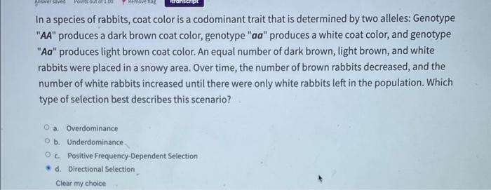 Solved In a species of rabbits, coat color is a codominant | Chegg.com