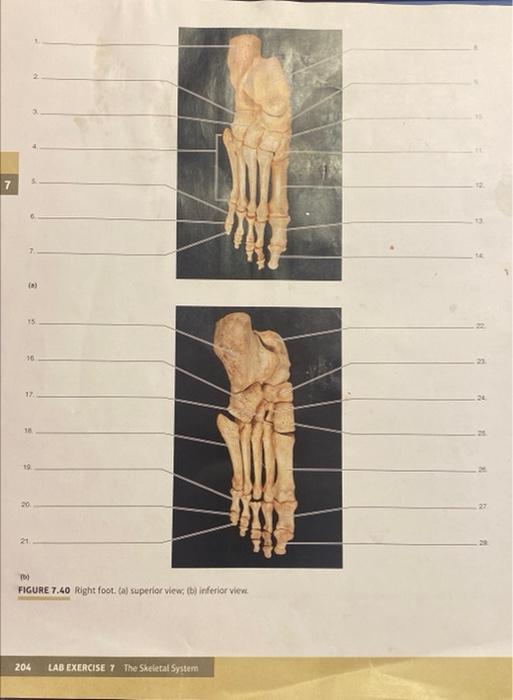 5. (3) 15 16 17 (2)