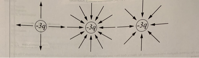 Solved Problem 10: The figure below shows the electric field | Chegg.com