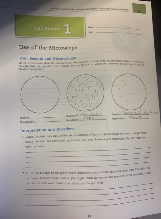 Solved Laboratory Manual for Microgy Fundamental Clinical